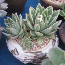 모두농장 이미지