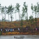11월 24일(토) [급-번개여행도보] 군산구불길 옥산저수지 가을길을 떠납니다. 이미지