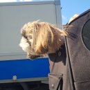 에덴동물병원 이미지