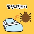 햇볕 세탁 이미지