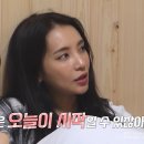 미스터독 이미지