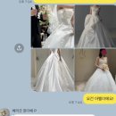 텐디헤어 | W#16. 미카도 실크 러버의 드레스 투어 다녀온 후기(비바탐탐, 라포레, 아벨바이케이- 2026 신상 드레스...