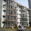 중마청룡길 이미지