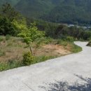 내화농장 이미지