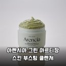 아르티장 | 인생 클렌저 등극! 아렌시아 그린 아르티장 스킨 부스팅 클렌저 솔직 후기