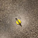 스포짐 한남 | [용산구 한남동 헬스,피티]한남오거리 주차 가능한 헬스장 스포짐 한남 PT,필라테스 후기