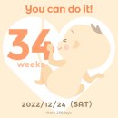 스파에코 화곡점 | [꼬미일기] 임신 34주차 | 집밥기록, 화곡베이비플러스, 김희라왕돈까스, 끝없는 택배, 짝꿍 생일상 준비