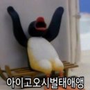 뭉 - 서구 | 뭉