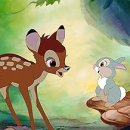 TEAM 1st SHOW ROOM 이미지