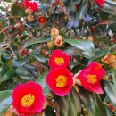 위미한의원 이미지