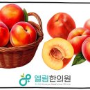 천도한의원 네이버블로그