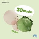 보고싶어 vs 출산 무서워 가 오락가락 하는 임신 후기 일상 🫠 / 32주차 증상 / 아기방서랍장 추천...