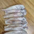 한치대첩 이미지