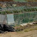 JC부동산중개사무소 이미지