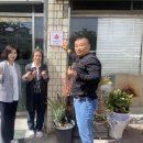 노송동 주민센터 이미지