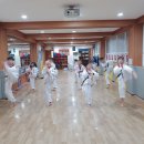 용인대아이사랑태권도장 이미지