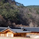 통고산자연휴양림 이미지