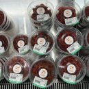 산동농협 하나로마트 이미지