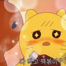 4월의 취향 공유