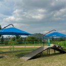 요천생태습지공원 애견놀이터 이미지