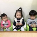 해뜨는도장 이미지