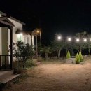 스치로다 이미지