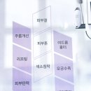 영해지다 피부앤바디