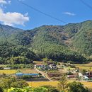 골든파인펜션 이미지