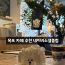 카페네이비 | 목포 신상카페 네이비소셜클럽 | 강아지 케이크 후기