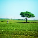 동광한우프라자 이미지