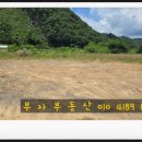 구룡천제방 이미지