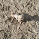 덕승농장 이미지