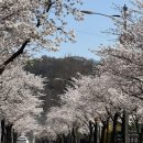 볼토풀빌라