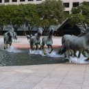 야생마PC 이미지