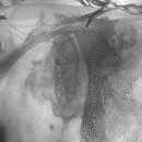 진천동물병원 이미지