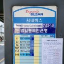 부산건설기초교육장 대한창조안전교육원에서 이수증 발급 후기!!
