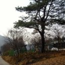 소법저수지 Daum카페