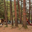 무릉계곡 힐링캠프장 이미지