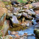 월악산 만수계곡 자연관찰로 이미지