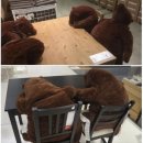 이야우와 이미지