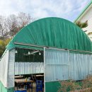 안계미나리농장 | 포항 연일읍 달전리 미나리삼겹살 맛집 안계 미나리 농장