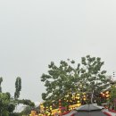 힐파크 | 하나투어 다낭 패키지 여행 솔직후기 ✈️ 3박5일 6월 날씨 목식당 바나힐파크(2)