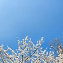 수성랜드 이미지