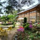 숲속의궁전 이미지