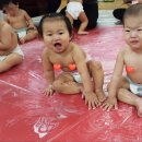 이랑이네 이미지