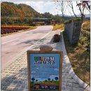 동서공원 | 영월의 새로운 핫플 동서강정원 청령포원! 신상 명소 전격 탐방 리뷰 / 솔직 후기 첫 방문 이야기