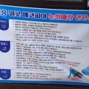 시흥월곶에코피아 사계절썰매장