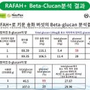 하이워터주
