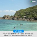 즐거운여행사 이미지