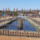 연못으로 이미지